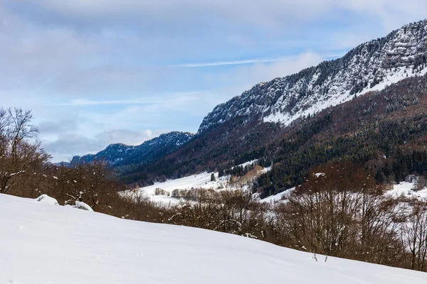Vercors 'taki Rencurel Vadisi kışın karla kaplıydı. Coulmes İskandinav kayak bölgesinden görüldü.
