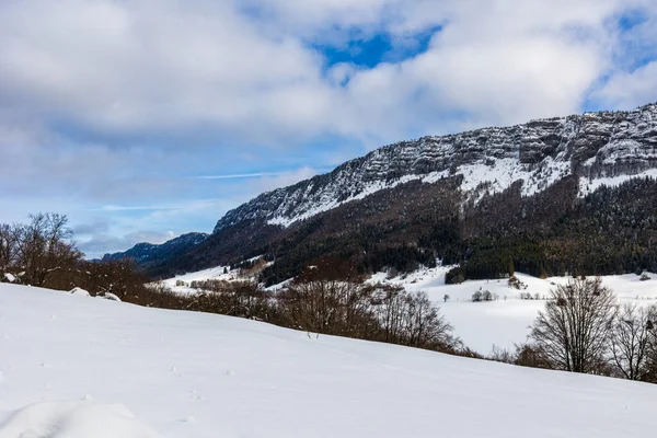 Vercors 'taki Rencurel Vadisi kışın karla kaplıydı. Coulmes İskandinav kayak bölgesinden görüldü.