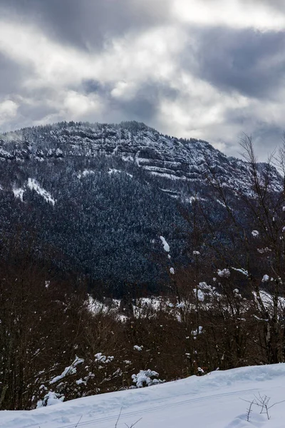 Orta Vercors yüksek kireçtaşı uçurumları kışın karla kaplı, Coulmes İskandinav kayak alanından görünüyor.