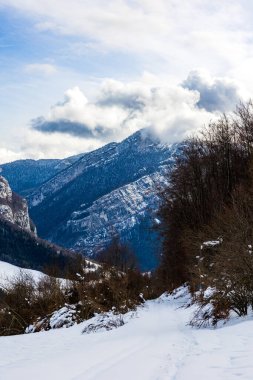Vercors 'taki Chalimont Sırtı kışın kar ve sisle kaplıydı, Rencurel köyünden görüldü.