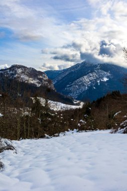 Vercors 'taki Chalimont Sırtı kışın kar ve sisle kaplıydı, Rencurel köyünden görüldü.