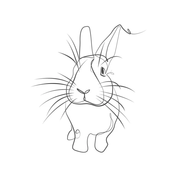 Lineart Vector Illustration Rabbit — Stock Vector
