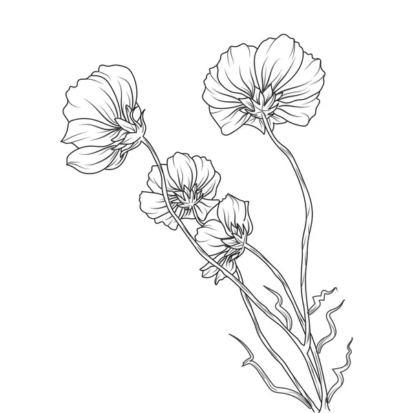 Linienkunst Der Skizze Blume — Stockvektor