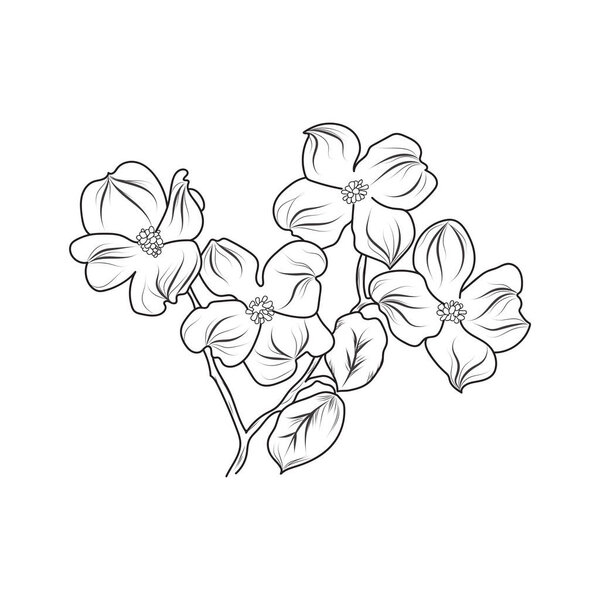 Line art of sketch flower. Abstract hand drawn vector illustration. Abstract Plant Art design for print, home decor, cover, wallpaper, Minimal and natural wall art posters