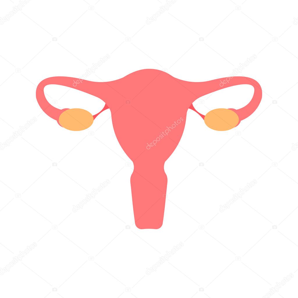Uterus flat illustration. Fertility, human anatomy, Female reproductive system. Cervix, ovary, fallopian tube icon.Can be used for topics like science, biolody, medicince