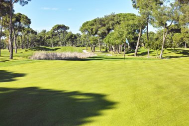 golf sahasında golf oynamak