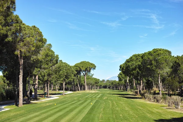 golf sahasında golf oynamak