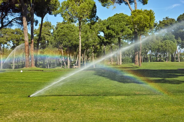 Jogar golfe num campo de golfe — Fotografia de Stock