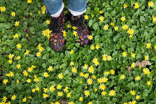 잔디에 색된 신발에 어린이 발 로열티 프리 스톡 사진