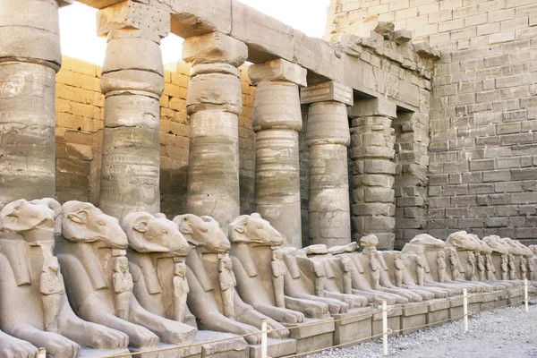 Egypten, luxor — Stockfoto