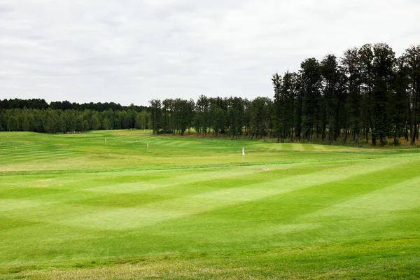 Jogar golfe em um campo de golfe em tempo nublado — Fotografia de Stock