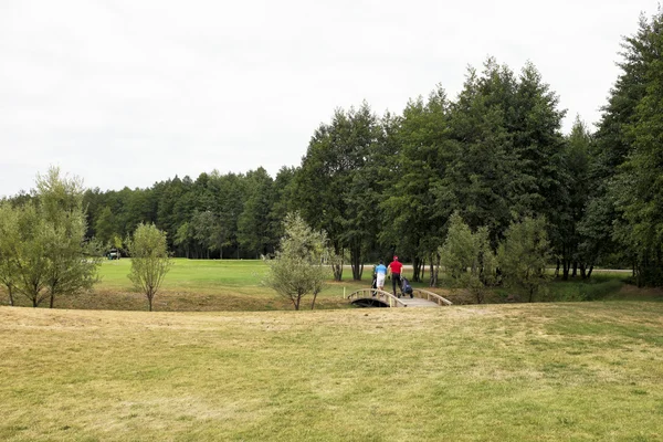 Jugar al golf en un campo de golf en tiempo nublado — Foto de Stock