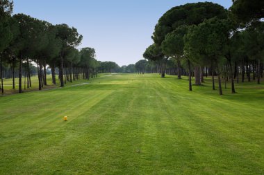 golf sahasında golf oynamak