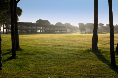 golf sahasında golf oynamak