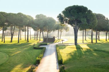 golf sahasında golf oynamak