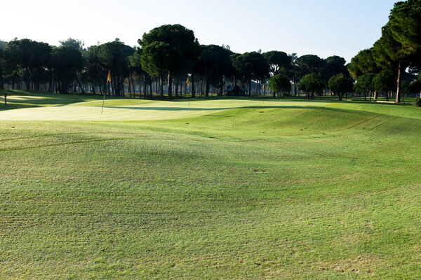 playing golf on a golf course