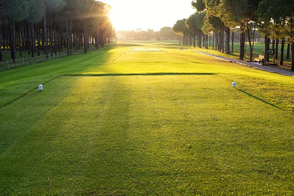 Jugar al golf en un campo de golf — Foto de Stock