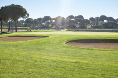 golf sahasında golf oynamak