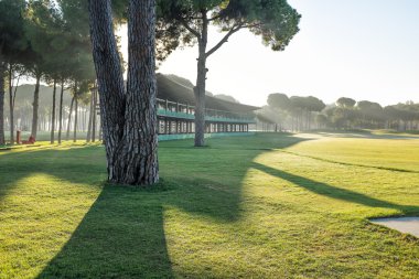 golf sahasında golf oynamak