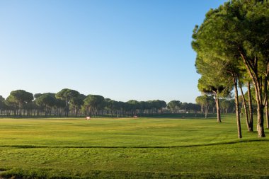 golf sahasında golf oynamak