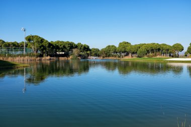 golf sahasında golf oynamak