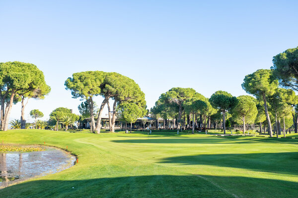 playing golf on a golf course