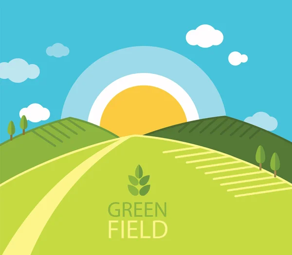 Groene boerderij veld — Stockvector