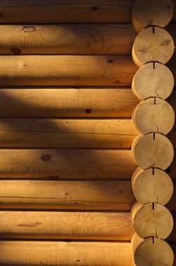 Günlük duvarının doğal arkaplan deseni