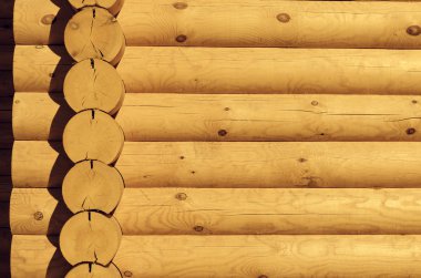 Günlük duvarının doğal arkaplan deseni