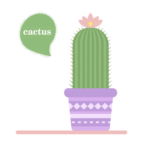 Изолированный кактус в горшке. Икона цветка кактуса. Пустынный завод . — стоковый вектор