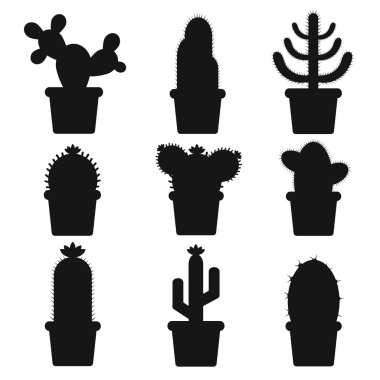 Bir tencerede izole kaktüs. Kaktüs çiçek simgesi. Çöl bitki.