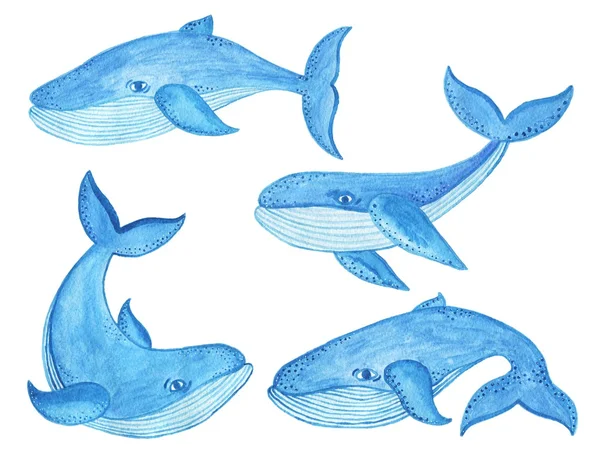 Dibujo animado ballena fotos de stock, imágenes de Dibujo animado ballena sin royalties | Depositphotos Dibujo animado ballena fotos de stock, imágenes de Dibujo animado ballena sin royalties | Depositphotos