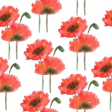 Beyaz zemin üzerine suluboya kırmızı poppy ile Seamless Modeli