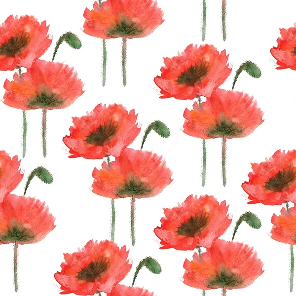 Seamless pattern with watercolor red poppy on a white background — Stock Photo, Image
