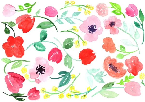 Акварельные розы, листья и абстрактные цветы на белом фоне — стоковое фото