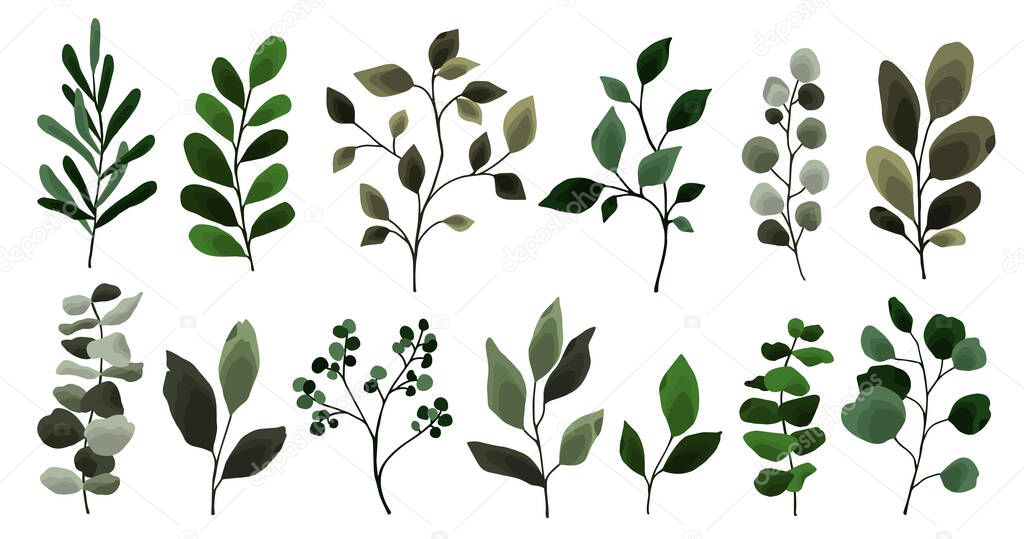 Collection of greenery leaves branch twig flora plants floral watercolor wedding objects, botanical foliage