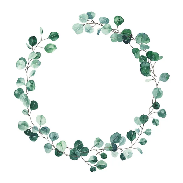 Corona de eucalipto acuarela con hojas verdes aisladas sobre fondo blanco —  Fotos de Stock