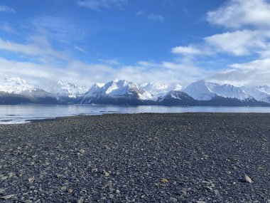 Alaska 'daki Rocky plajı.