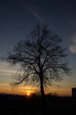 Manzara. Ağaçların ve şehrin arka planında gün batımı. Arkaplan.