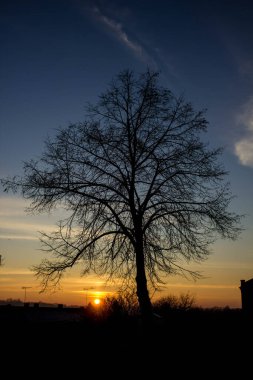 Manzara. Ağaçların ve şehrin arka planında gün batımı. Arkaplan.