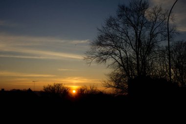 Manzara. Ağaçların ve şehrin arka planında gün batımı. Arkaplan.