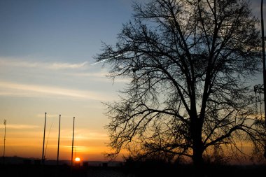 Manzara. Ağaçların arkasında gün batımı. Arkaplan.