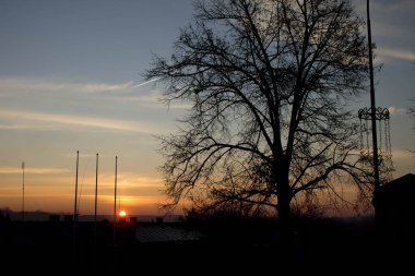 Manzara. Ağaçların arkasında gün batımı. Arkaplan.