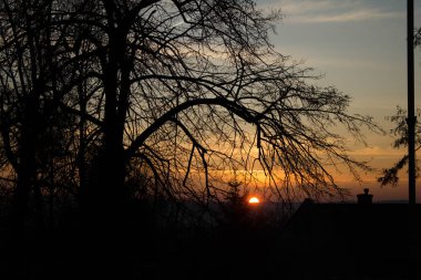 Manzara. Ağaçların arkasında gün batımı. Arkaplan.
