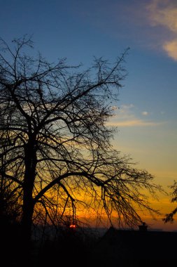 Manzara. Ağaçların arkasında gün batımı. Arkaplan.