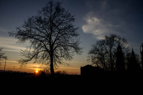 Manzara Ağaçların Şehrin Arka Planında Gün Batımı Arkaplan — Stok fotoğraf