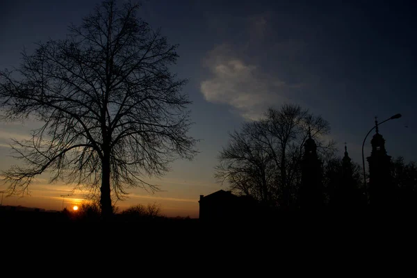 Krajina Západ Slunce Pozadí Stromů Města Pozadí — Stock fotografie