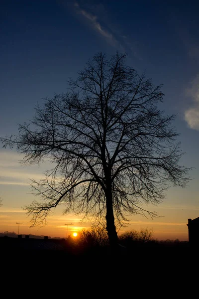 Paesaggio Tramonto Sullo Sfondo Alberi Città Contesto — Foto Stock