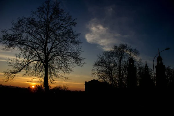 Krajina Západ Slunce Pozadí Stromů Města Pozadí — Stock fotografie