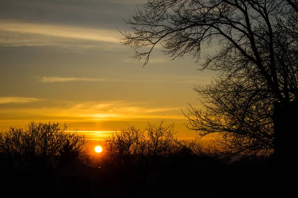 Manzara. Ağaçların ve şehrin arka planında gün batımı. Arkaplan.